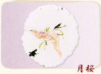 白えびせんべい 月桜