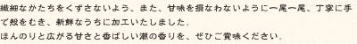 繊細なかたちをくずさないよう一尾一尾、丁寧に手で殻をむき、新鮮なうちに加工いたしました。ほんのりと広がる甘さと香ばしい潮の香りを、ぜひご賞味ください。